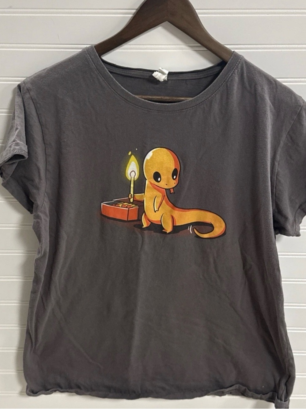 Teeturtle Charmander Pretending Lizard Short Sleeve Gray T Shirt Womens Size XL
